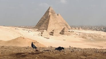 Elias Tours Egypt top rated on TripAdvisor