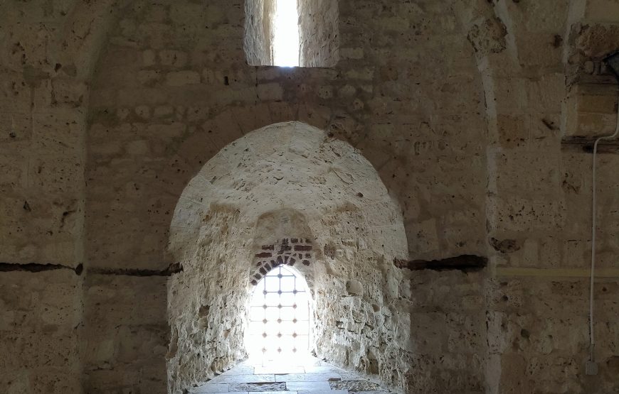 Alexandria Full Day – Shore Excursions