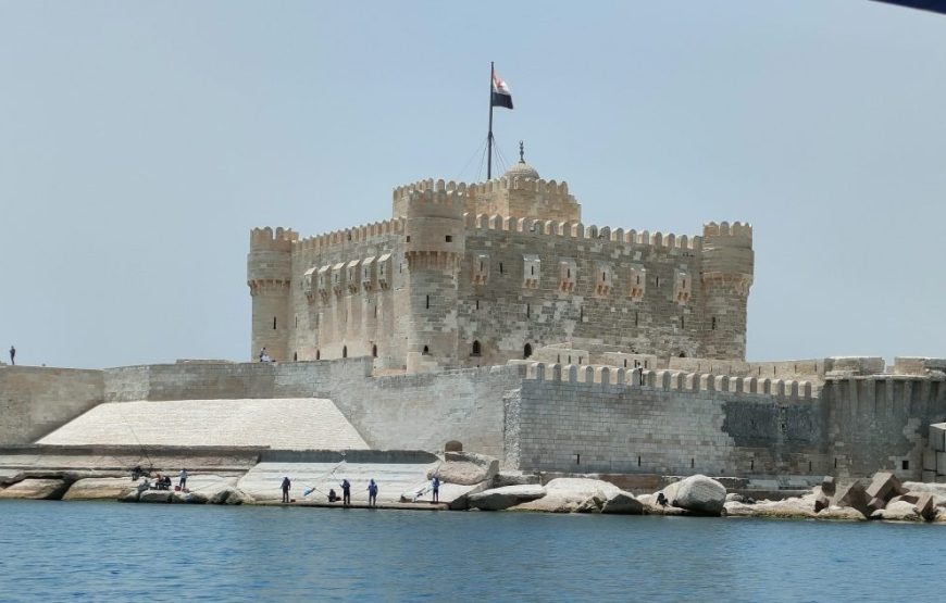 Alexandria Full Day – Shore Excursions