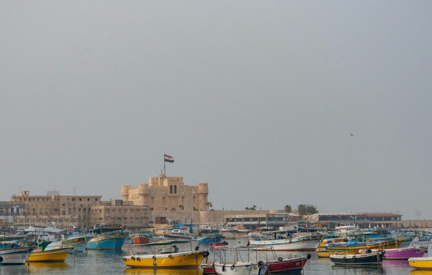 Private Panoramic Alexandria – Exclusive Shore Excursion