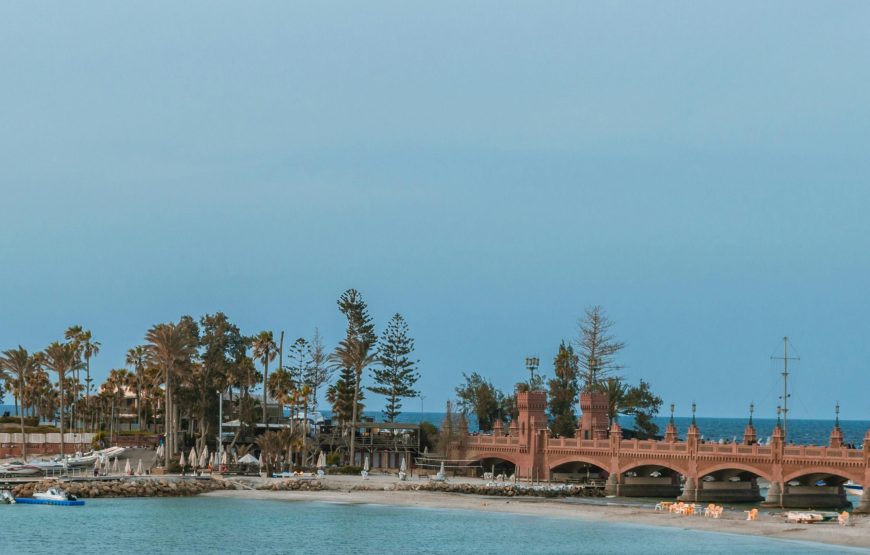 Private Panoramic Alexandria – Exclusive Shore Excursion
