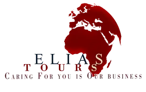 Elias Tours Egypt - Christian, Islamic, and Ancient Egyptian Private Tours