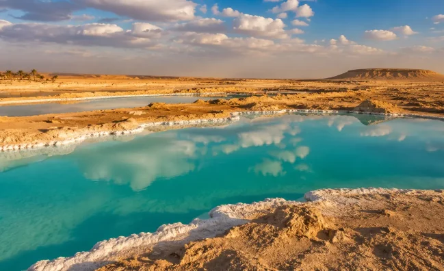 Siwa Oasis Alexandria – Private Desert Day Trip