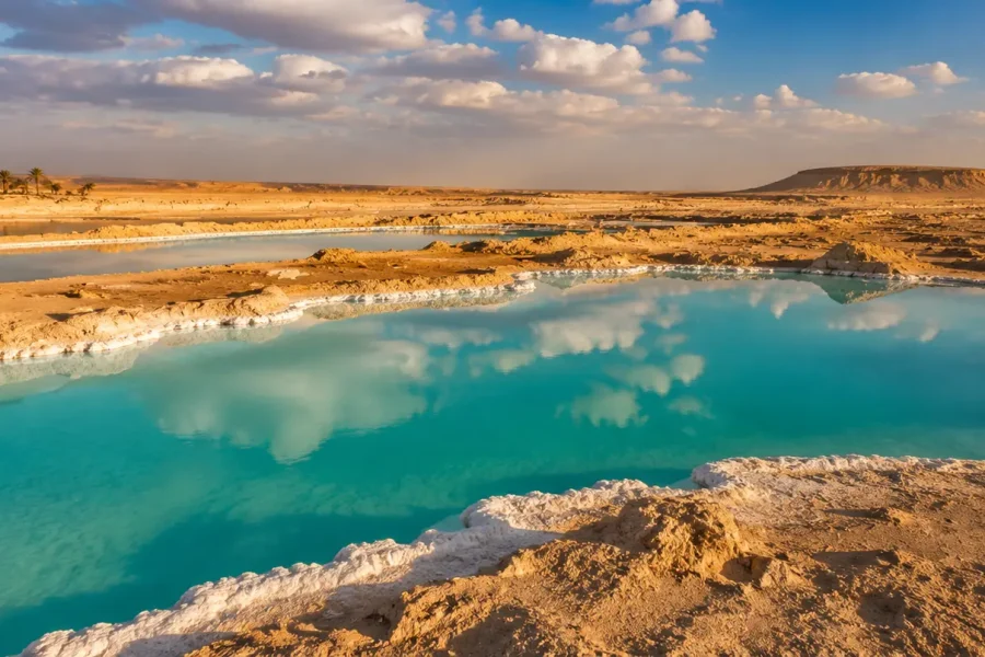 Siwa Oasis Alexandria – Private Desert Day Trip
